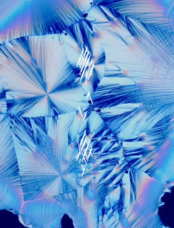 DUSTCELL、4th Album「碧い海」本日12月10日(水)リリース！ リード曲「青」のMVも公開