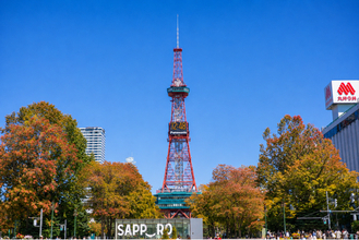 【秋の階段チャレンジ！】景色を楽しみながら456段！さっぽろテレビ塔を階段でのぼろう♪
