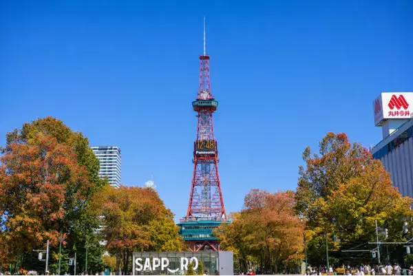 【秋の階段チャレンジ！】景色を楽しみながら456段！さっぽろテレビ塔を階段でのぼろう♪
