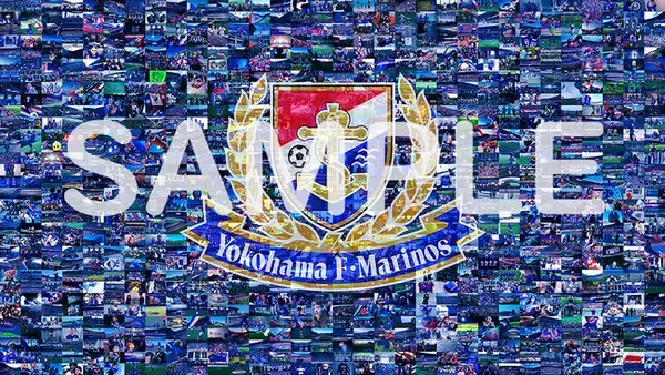 モザイクアート生成システム「Terminus Mosaic Live」がバージョンアップ！ Jリーグ 横浜F・マリノス公式戦において、30周年記念試合の特別映像に採用されました