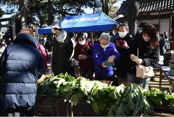 「第9回品川蕪品評会」開催へ　