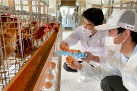 都ホテル 京都八条×京都府立農芸高校　実践的相互フォローで取り組む「食のSDGｓプロジェクト」