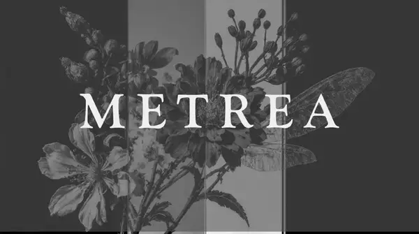 AIクリエイティブカンパニー、METREA株式会社設立のお知らせ