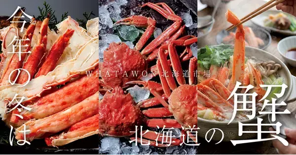 年末年始に選ばれる贅沢海鮮｜WHATAWON「北海道市場」で本ズワイ・たらば・毛蟹が勢揃い