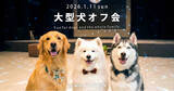 「1月11日「わんわんわんの日」に開催！WHATAWONの大型犬向け室内オフ会【大阪・岸和田／参加費無料】」の画像1