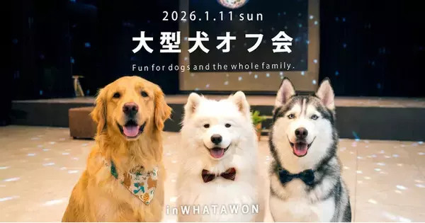 1月11日「わんわんわんの日」に開催！WHATAWONの大型犬向け室内オフ会【大阪・岸和田／参加費無料】