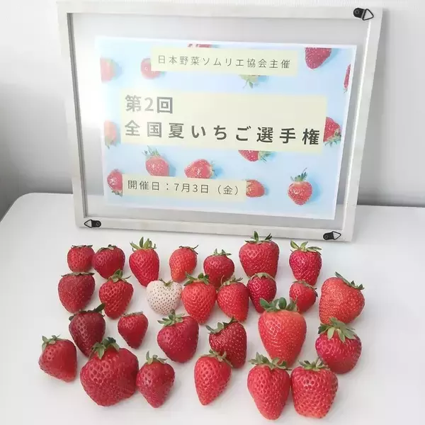 おいしい「夏いちご」NO.１が決定！日本一は、奈良県天理市「カジュレアの古都華『極夏ノ雫』(ゴクカノシズク）/いちご農園カジュレア」が決定！