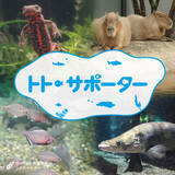 「水族館を応援！サポーター制度を導入」の画像1