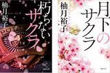「主演 杉咲花 実写映画化で話題！シリーズ累計30万部突破!!『朽ちないサクラ』」の画像1