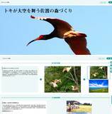 「GXの出遅れが命取り。創出量15倍に拡大の「森林クレジット」が今注目されるワケ」の画像9