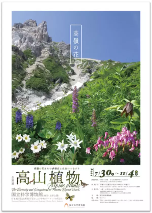 【国立科学博物館】企画展「高山植物～高嶺の花たちの多様性と生命のつながり～」開催のお知らせ