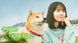 「【フジテレビ】飼い主ボケて、犬ツッコむ。ほのぼのお散歩コメディーの実写化！『今日のさんぽんた』地上波放送決定！」の画像1