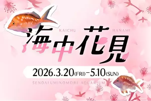 「【仙台うみの杜水族館】海中花見【２０２６年３月２０日（金）～５月１０日（日）】」の画像