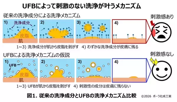 ポーラ化成工業・小林研究員、ウルトラファインバブルを化粧品に応用した論文で国際学術賞IFSCC Magazine 「Henry Maso Award」に決定