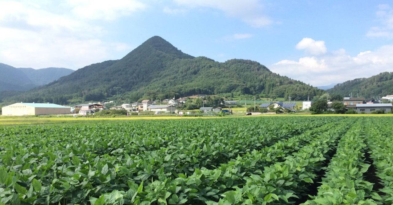 JA利根沼田の高地での恵まれた土壌で栽培されたブランド枝豆「豆王」を住友ベークライトの鮮度保持技術にてブランド価値を向上！