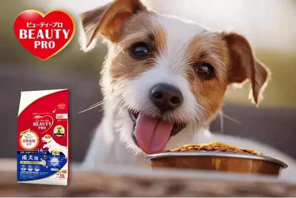 【愛犬用】カラダに「届かせる」ことにこだわった『ビューティープロ ドッグ』から、小型犬にぴったりな新サイズが新登場！