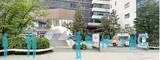 「夏の渋谷に巨大な白くまくんドームテントが登場！「白くまくん COOL PARK」　渋谷キャストに期間限定オープン」の画像1