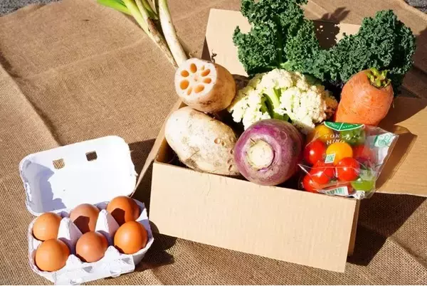 生産者のこだわりが詰まった旬野菜・果物の宅配サービスをスタート！おうち時間にぴったり！