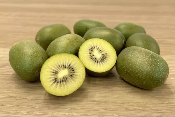 国産キウイの開発・生産・販売をサポートするMIKO JAPAN「国産キウイプロジェクト」で国産キウイの未来を明るく！