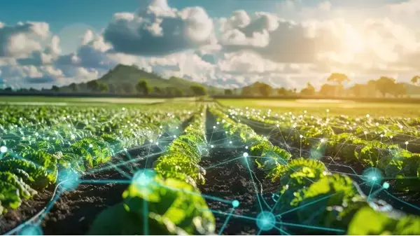 農業のDX改革を加速する、新しいソリューション 「農業DX × .Aiエージェント」をリリース｜Lark公式パートナー カスタマークラウド