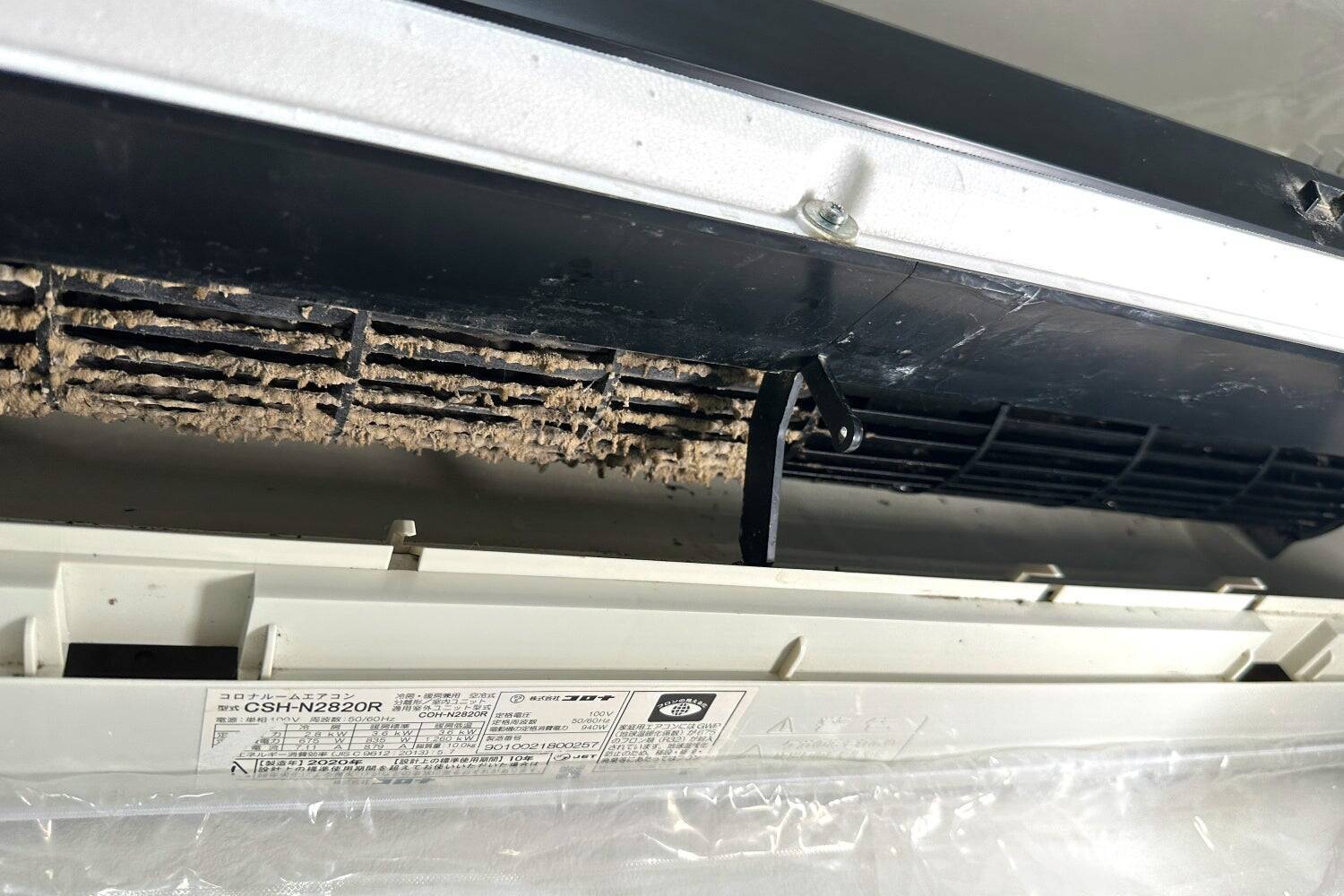 「フィンだけを洗っても、においが残る」――20匹以上の動物と暮らす開発担当者が挑んだ、エアコン洗浄剤の開発