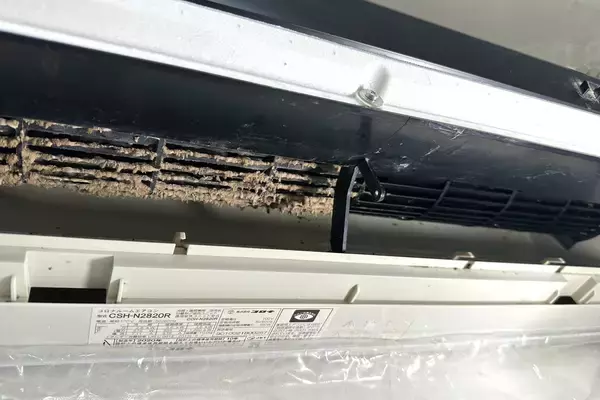 「「フィンだけを洗っても、においが残る」――20匹以上の動物と暮らす開発担当者が挑んだ、エアコン洗浄剤の開発」の画像
