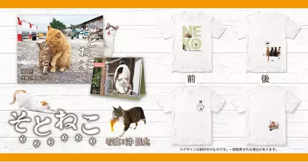 「お気に入りの写真を着て歩こう」インプレスカレンダーの人気写真を初のTシャツ化！