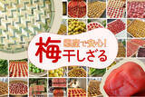 「10％OFF＆送料無料セール開催中！国産・日本製の梅干しざるがお得」の画像1