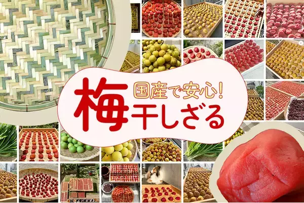 10％OFF＆送料無料セール開催中！国産・日本製の梅干しざるがお得