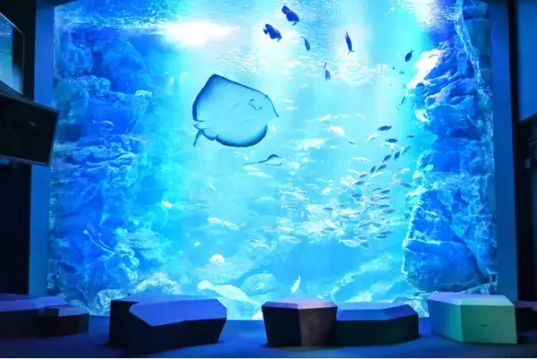 【メルキュール京都ステーション】雨の日も安心！京都水族館チケット付きでお得な宿泊プランが登場。