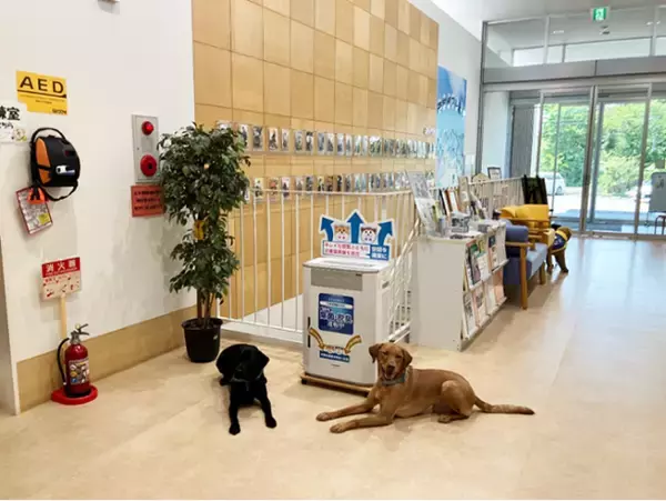 日本介助犬協会に業務用 次亜塩素酸 空間除菌脱臭機「ジアイーノ」を寄贈