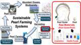 「ゼロエミッション型真珠養殖から生まれた多機能原料「真珠パウダー」を開発」の画像1