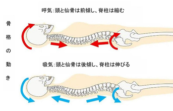 日本人2,000万人が抱える睡眠悩み。カギは“呼吸の質”か？──平面型寝具と比べて呼吸深度45％増加傾向※ 日米中特許の新構造マットレス~トラタニが開発~