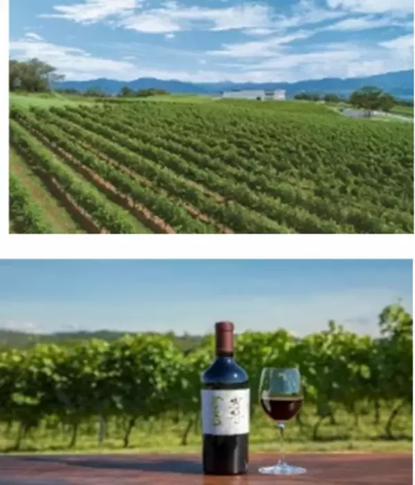 「シャトー・メルシャン　椀子ヴィンヤード」にて農研機構との新たな共同研究を開始