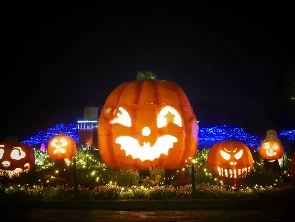 「森のハロウィンナイト」開催します（国営武蔵丘陵森林公園）