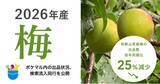 「【2026年産 梅】ポケットマルシェ 和歌山県産梅の出品数が前年同期比25％減少」の画像1