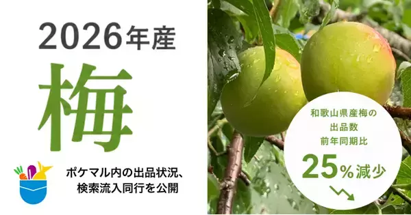 【2026年産 梅】ポケットマルシェ 和歌山県産梅の出品数が前年同期比25％減少