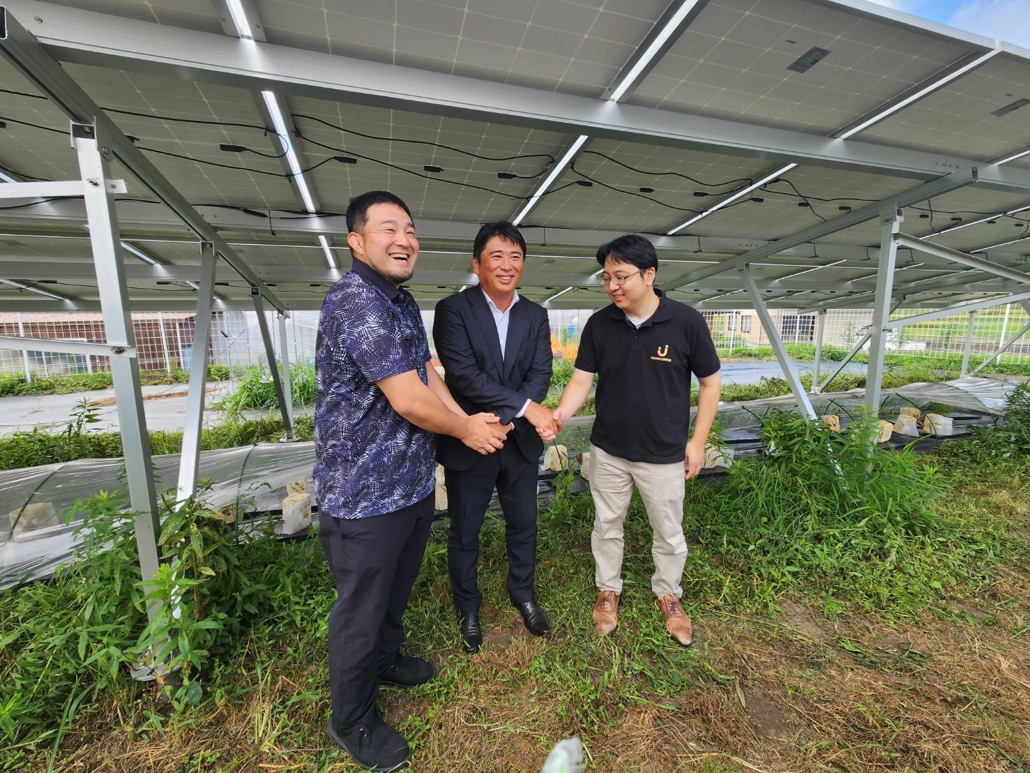 大半が失敗となってしまう営農型太陽光発電を、キクラゲの栽培で成功へ導く。自身のキノコ好きから始まった事業成長の裏側。