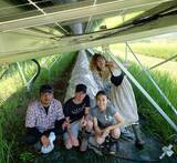 「大半が失敗となってしまう営農型太陽光発電を、キクラゲの栽培で成功へ導く。自身のキノコ好きから始まった事業成長の裏側。」の画像9