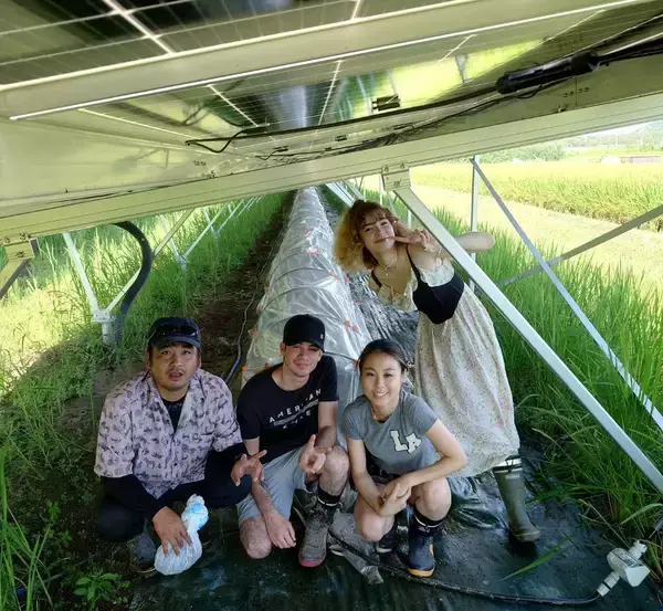 「大半が失敗となってしまう営農型太陽光発電を、キクラゲの栽培で成功へ導く。自身のキノコ好きから始まった事業成長の裏側。」の画像