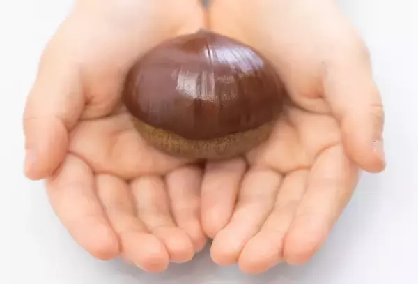 「秋田発菓子ブランドくら吉　台湾常設出店に向け、現地法人設立に着手～秋田県内に店舗を構える菓子店として初、台湾の百貨店系商業施設への常設出店を計画」の画像