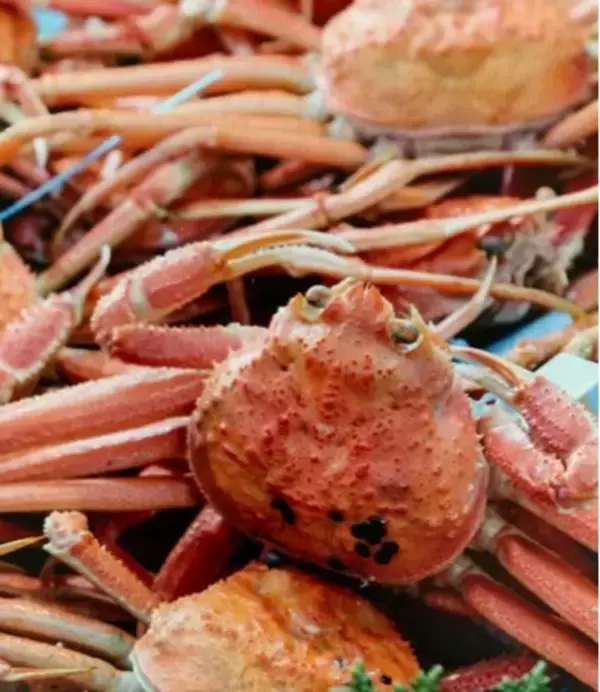 「「輪島かにまつり」が能登半島地震を乗り越え4年ぶりに復活！「能登と東北をつなぐ 輪島かにまつり」として、宮城県・ゆりあげ港朝市で11月23日（日）に開催」の画像