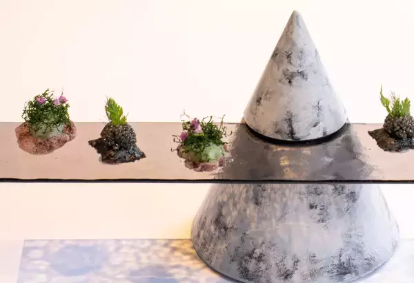 「住宅のプロが、レストランに挑んだ日 ―― 建築デザイン部が初めて向き合った「体験の場をつくる仕事」」の画像