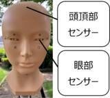 「太陽を見ていなくても、目は紫外線を浴びている-見落としがちな“散乱光“や“反射光“に要注意」の画像1