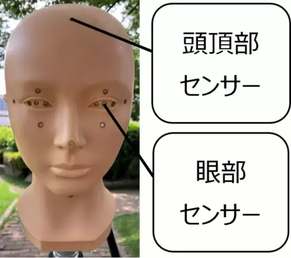 太陽を見ていなくても、目は紫外線を浴びている-見落としがちな“散乱光“や“反射光“に要注意