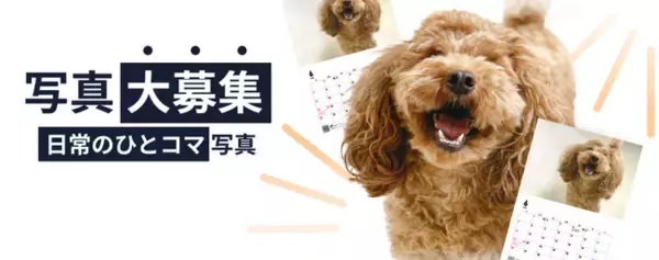 《POCHI》うちの子（犬）の“なんでもない日常のひとコマ”写真大募集！