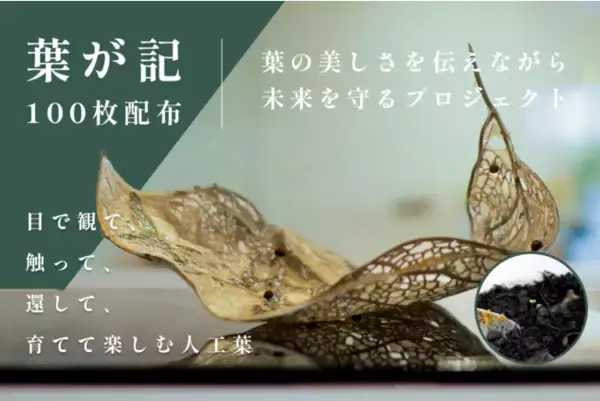 3Dプリンタで葉の魅力を表現する紋葉が、植物の美しさを保存する「葉が記」のクラウドファンディングを開始