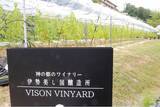 「VISONのオリジナルワインが誕生「Blanc 2025（白）」「Noir 2025（赤）」― VISON敷地内ぶどう畑の葡萄と日本各地のテロワールをブレンド ―」の画像1