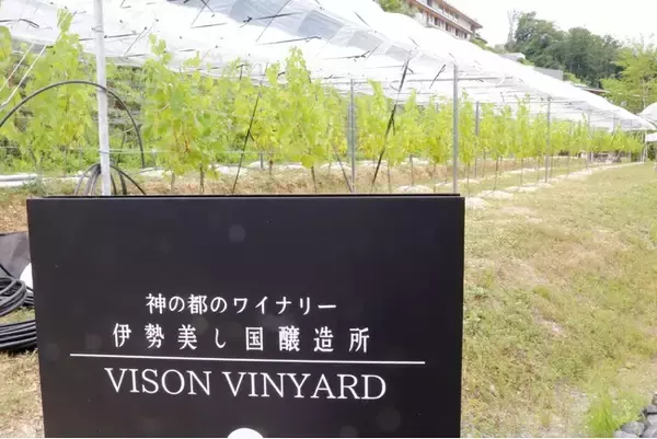 VISONのオリジナルワインが誕生「Blanc 2025（白）」「Noir 2025（赤）」― VISON敷地内ぶどう畑の葡萄と日本各地のテロワールをブレンド ―