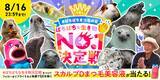 「8月8日「ぱちぱちまつ毛の日」に異色コラボが実現！！全国各地の"ぱちぱちな生き物"たちが大集合！スカルプDまつ毛美容液×全国8か所の動物園・水族館「ぱちぱちな生き物No.１決定戦」開催」の画像1